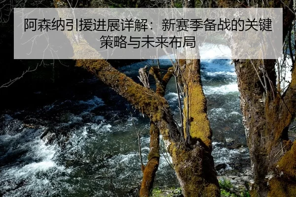 阿森纳引援进展详解：新赛季备战的关键策略与未来布局